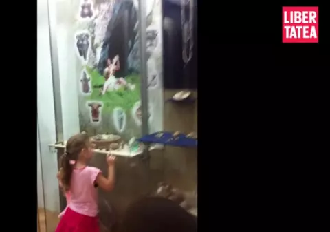 Video exclusiv | Monica, interesată de cultura generală a Irinei! A dus-o la muzeu!