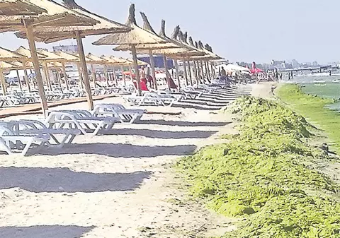 "Uraaa! Ne facem împachetări cu alge moca"