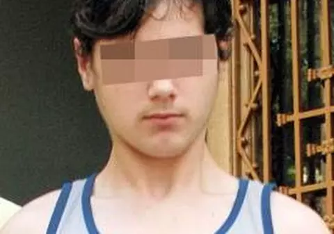 Teodosian Gherman, băiatul care şi-a căsăpit mama, revine acasă?