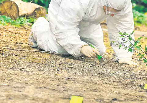 Criminalii din Ungaria, cămătari?