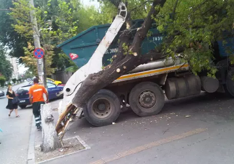 Copac doborât de o maşină de gunoi, în zona Vatra Luminoasă