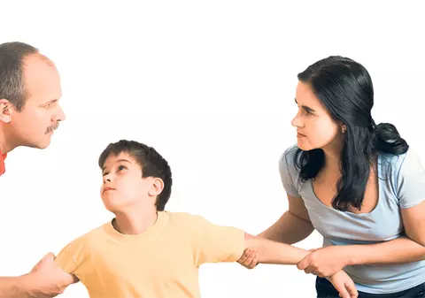 Părinţii pot cere custodie comună