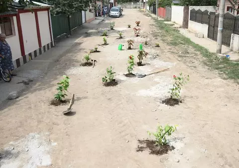 Ce poţi să faci cu o stradă neasfaltată? S-o umpli cu flori!