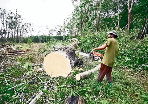 Eşti sărac, dar ai o drujbă? Nu primeşti ajutor de încălzire
