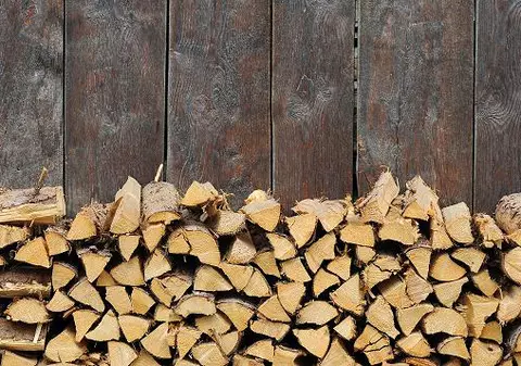 EXCLUSIV Pierdem mii de hectare de pădure în fiecare an! România a tăiat o pădure cât un oraș, în 2016, pentru a o trimite în SUA