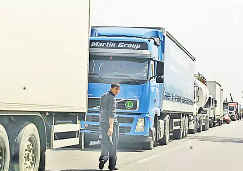 După lalele, le verificăm şi lactatele!