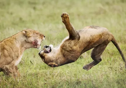 Foto | I-a dat una de l-a învârtit!