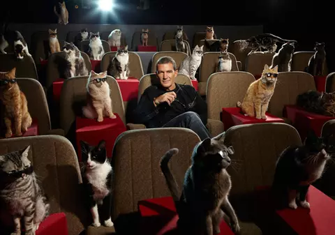 Foto | Antonio Banderas,  la film cu cele mai faimoase pisicuţe de la Hollywood