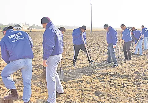 Angajaţii BGS au plantat sute de copaci împotriva inundațiilor