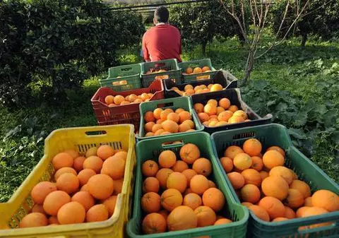Primiţi-i la muncă pe români şi pe bulgari