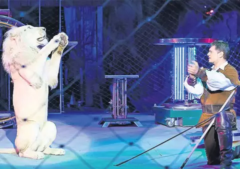 Circul Globus a aniversat 50 de ani printr-o serie de spectacole grandioase