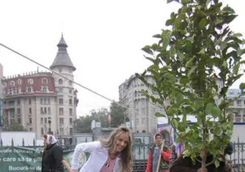 Foto | Vezi ce prezentatoare Prima Tv are o viteză record la plantat copaci!