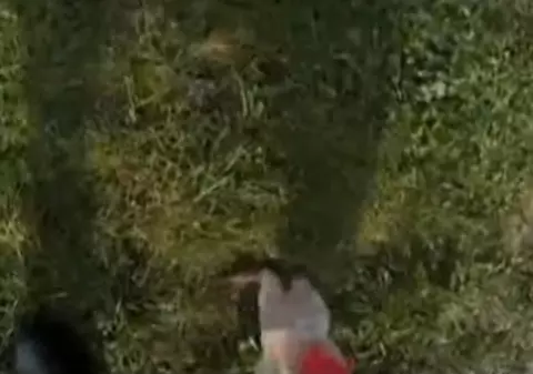 Atenţie, în parc plouă cu... excremente de câine