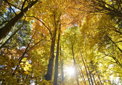 Incredibil! Caniculă în luna octombrie!