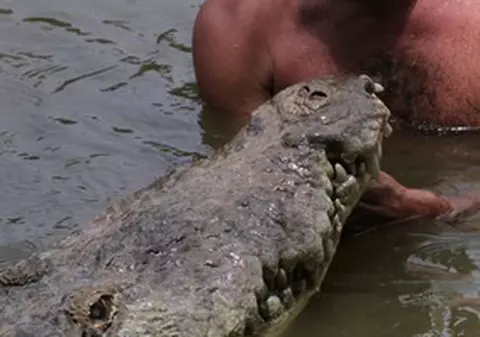 Foto & Video| Caz unic în lume! Un bărbat a reuşit să transforme un crocodil într-un animal domestic