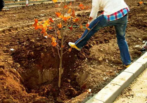 Cabral, ce bine-ți stă cu lopata în mână! 