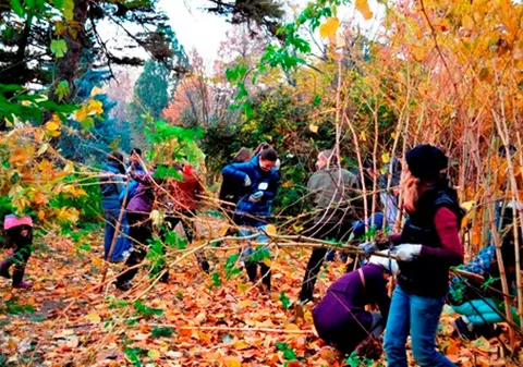 Peste 200 de studenţi au făcut curăţenie lună în Grădina Botanică