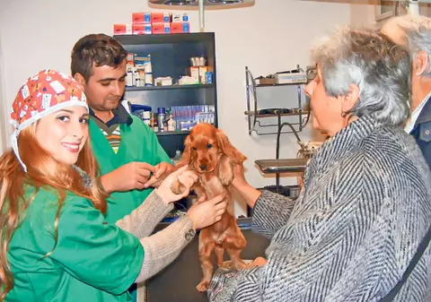 Foto | Judoka Alina Dumitru a fost veterinar pentru o zi