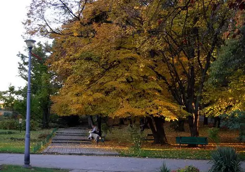 Foto | Uite ce frumoasă e toamna la noi, dar şi în alte ţări!
