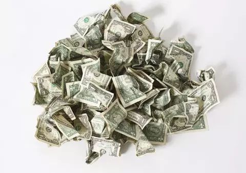 Câine rău! Le-a mâncat 1.000 de dolari stăpânilor