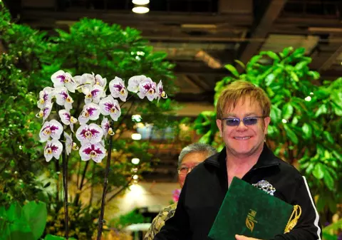Elton John are o orhidee care îi poartă numele. Vezi câte specii sunt numite după el!