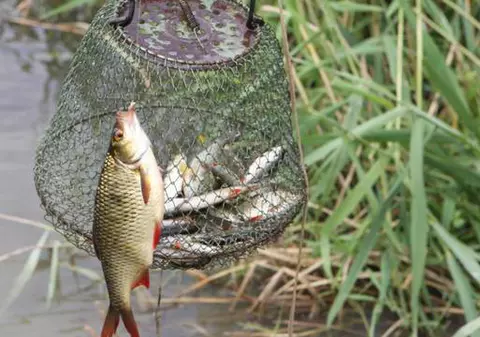 Braconieri din 11 judeţe în vizorul poliţiştilor 