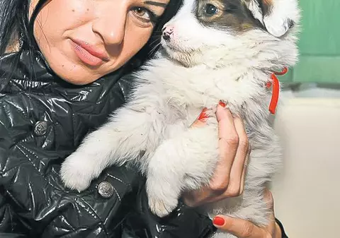 Roxana de la "Vremea" vrea să salveze câinii de la eutanasiere: Domnilor primari, nu ucideți maidanezii! | Foto & Video