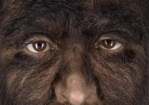 Video | Imaginile care te pot face să te simţi un om cu adevărat norocos