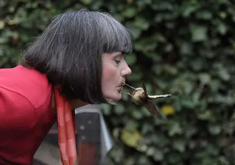 Foto | Uite cum hrăneşte o britanică o vrăbiuţă!