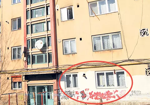 Aici ajung cei 60.000 € de la “Dansez pentru tine”
