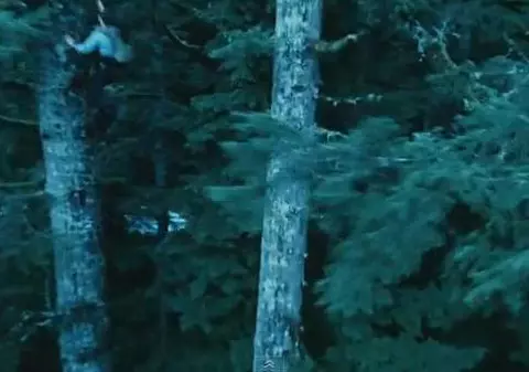 Seria ”Amurg” o inspiră pe Udrea! Vrea să-i convingă pe fanii filmului să viziteze România