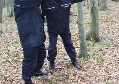 Doi jandarmi, răniţi de hoţi români pe o autostradă din Franţa