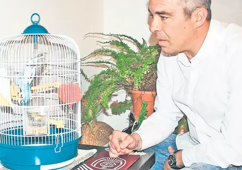 Jorge Costa, tehnicianul portughez de la CFR Cluj, încearcă să-şi înveţe papagalii să spună: "CFR campioană"
