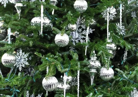 Ăsta da cadou de Sărbători! A născut sub bradul de Crăciun