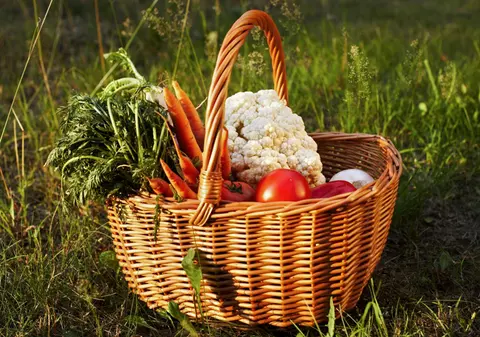 Olandezii reacţionează la declaraţiile lui Băsescu! Eurodeputaţii români vor primi coşuri cu...legume