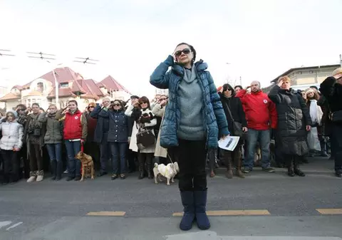 Vezi care sunt vedetele care protestează faţă de eutanasierea maidanezilor