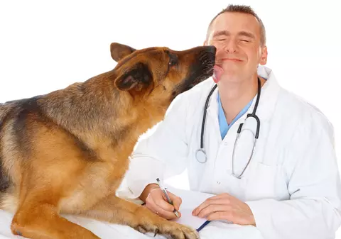 Iată lista cabinetelor ce sterilizează gratuit câinii în Bucureşti!