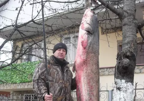 Crezi că e pe bune? Uite ce somn a prins acest moldovean!