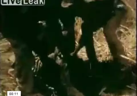 + 18 ȘOCANT | ȚI SE FACE RĂU FIZIC! Uite cum i-au scos piciorul din gura unui PITON! VIDEO