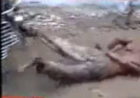 Indian torturat de față cu poliția, pentru că a furat un lanț | VIDEO ȘOCANT