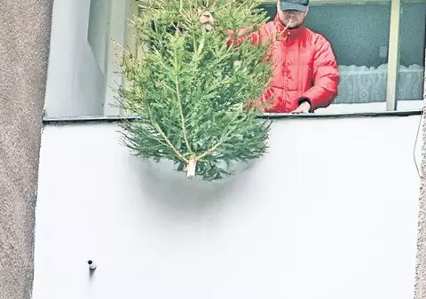 Uite ce le dă prin cap românilor! ”Păzea! Pică bradul” | FOTO