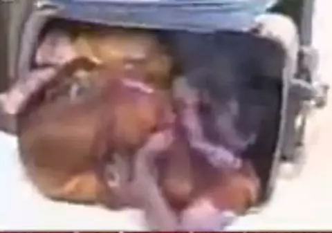 Bagajul din IAD! Uite ce au descoperit într-un geamantan | VIDEO