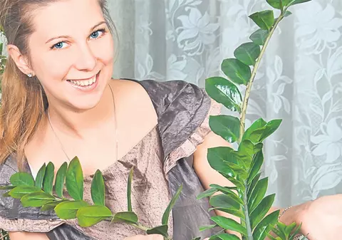 Cum îţi îngrijeşti plantele iarna