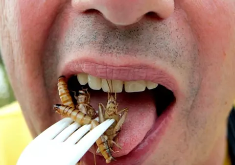 UE cheltuieşte 3 milioane de euro pentru a ne convinge să mâncăm insecte 