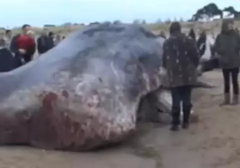 Căutat de polițiști și hulit pe site-urile de socializare! Vezi ce a făcut un bărbat de a stârnit FURIE pe Facebook | VIDEO