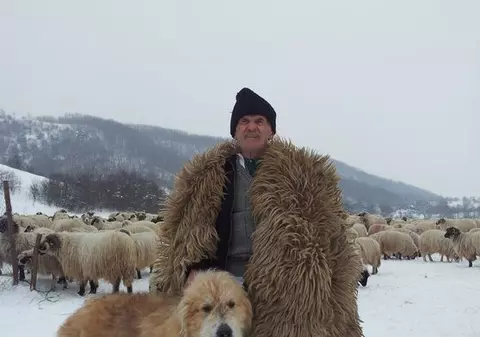 Un cioban e şomer cu acte în regulă la 95 de ani! Ţuica – secretul longevităţii sale