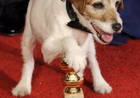 Câinele Uggie, premiat cu Zgarda de Aur, pentru rolul din filmul "The Artist"