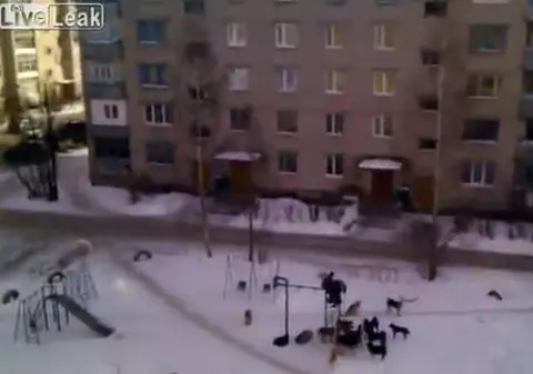 SĂRACII COPII! Înconjurați de o haită de câini flămânzi, au fost la un pas să fie mâncați. Vezi cum au scăpat! VIDEO
