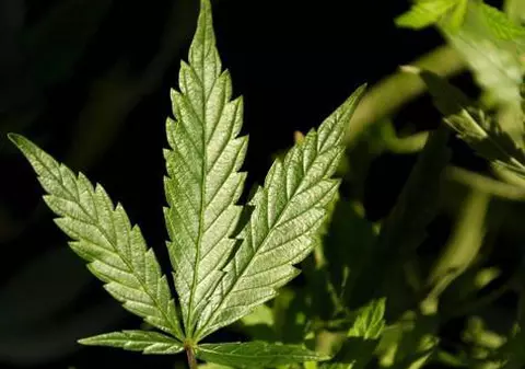 Un militar român în Afganistan este judecat pentru deţinere de canabis