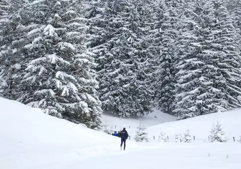 74 de oameni au murit, de la avertizarea de ger până în prezent, 6 în ultimele 24 de ore
